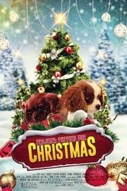 Project: Puppies for Christmas-hd