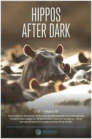 Image Hippos after Dark
