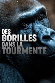Gorillas unter Stress series tv