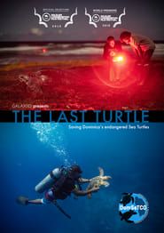 The Last Turtle series tv