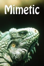 Mimetic series tv