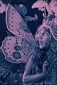 Image La reine des papillons 1927