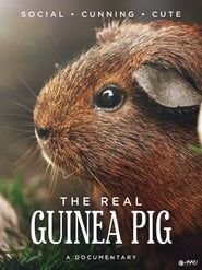 The Real Guinea Pig series tv