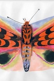Image Moth