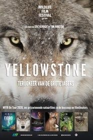 Yellowstone series tv