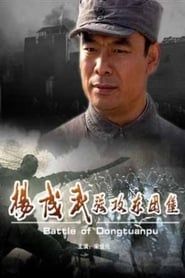 杨成武强攻东团堡 (2009)