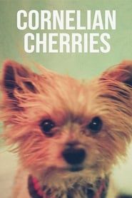 Cornelian Cherries series tv