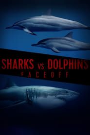 Image Sharks Vs Dolphins : Face Off 2018