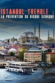 Image Istanbul tremble : La prévention du risque sismique