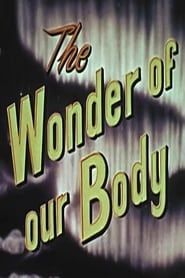 Image The Wonder Of Our Body