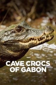Image Gabon : dans les grottes des crocodiles orange