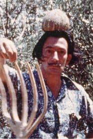 Salvador Dalí Home Movie series tv