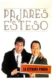 La extraña pareja: Pajares y Esteso (2008)