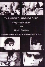 The Velvet Underground and Nico: A Symphony of Sound series tv