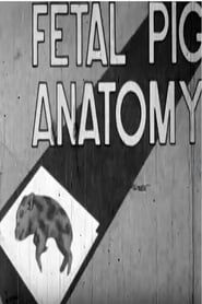 Fetal Pig Anatomy series tv