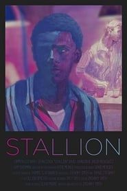 Stallion series tv