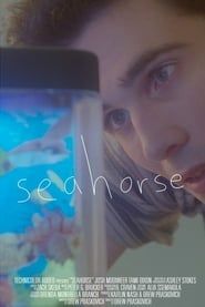 Image Seahorse