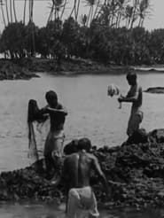 Image Kanaka Fishermen Casting the Throw Net, Hilo, H.I.