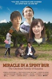 Miracle in Kasama series tv
