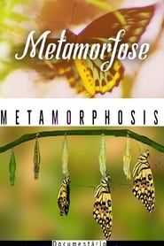 Documentário Metamorfose series tv