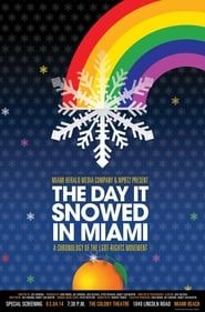 The Day it Snowed in Miami series tv