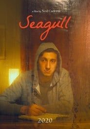 Image Seagull