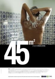 45m² (2011)