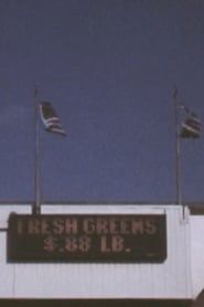 Image 3 Flags
