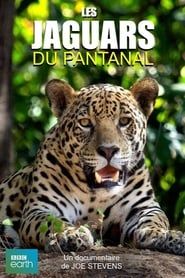 Image Les jaguars du Pantanal