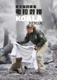 Koala Rescue series tv