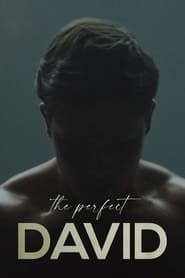 The Perfect David series tv