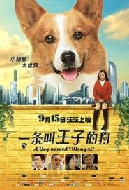 A Dog Named Wang Zi series tv