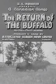 Image Return of the Buffalo