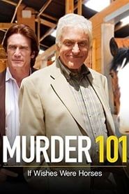watch Murder 101: If Wishes Were Horses