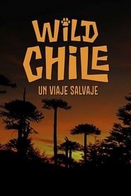 Chile: A Wild Journey - The Special series tv