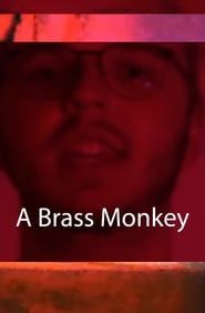 Image A Brass Monkey