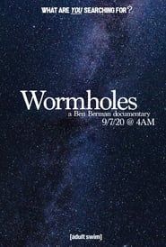 Wormholes (2020)