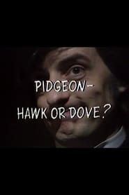 Image Pidgeon – Hawk or Dove?