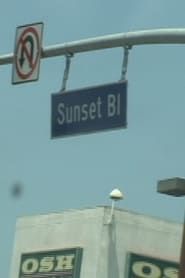 Sunset Boulevard series tv
