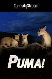 Puma! series tv