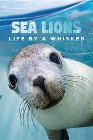 Sea Lions: Life By a Whisker-hd