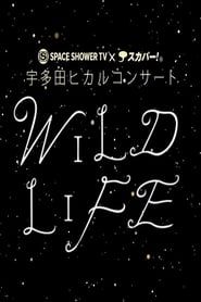 Utada Hikaru-WILD LIFE 2010 series tv