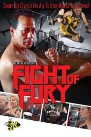 Fight of Fury-hd