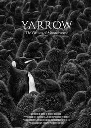 Image Yarrow: The Virtues of Monochrome
