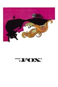 Image The Fox 1967