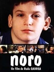 Noro (2002)