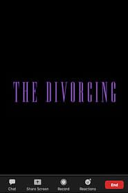 The Divorcing series tv
