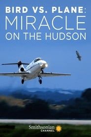 Image Bird vs. Plane: Miracle on the Hudson