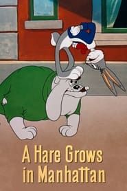 A Hare Grows in Manhattan series tv