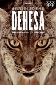 Image Dehesa: The Forest of the Iberian Lynx